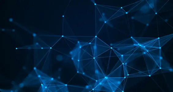 Microsoft capabilities